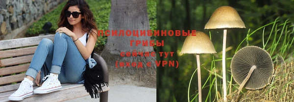 гидропоника Алексин