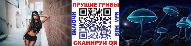 Псилоцибиновые грибы GOLDEN TEACHER  купить наркоту  Глазов 